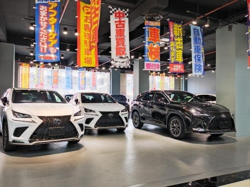 Showroom1